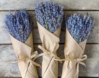 Dried Grosso Lavender Bundles – Meli's Lavender